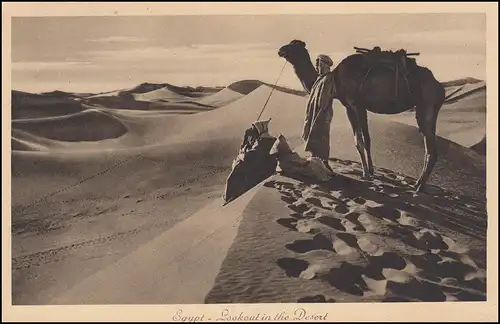 AK Übersee Ägypten Aussichtspunkt in der Wüste mit Kamel, KAIRO 12.3.1931