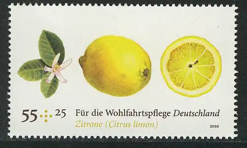 2771 fruits Wofa 55+25 C citron **
