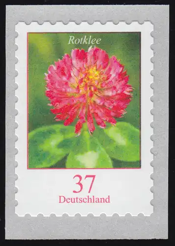 3663 Blume Rotklee 37 Cent, selbstklebend, ** postfrisch