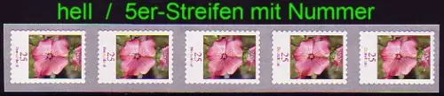 2513b Malve 25 HELLGRÜN, 5er-Streifen mit Nr. aus 10000er-Rolle, ** postfrisch
