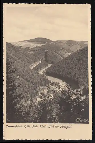 Landpost Leibis über Neuhaus am Rennweg 1964 auf passender AK 