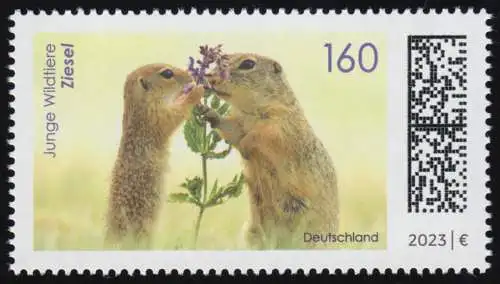 3782 Junge Wildtiere: Ziesel, postfrisch ** / MNH