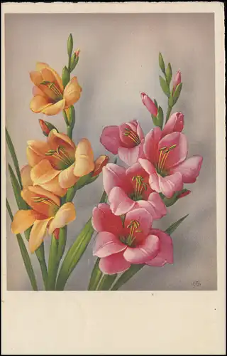 Landpost Steinenbach über Aulendorf (Württ.) 1941 auf AK Blumen