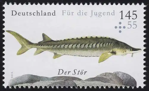 3171 Jugend - Süßwasserfische: Der Stör, postfrisch **