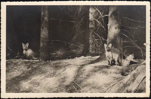 Landpost 20a Bommelsen über Walsrode SSt Lönsstadt 15.6.61 AK Lüneburger Heide