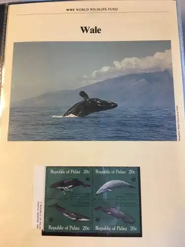 WWF Motiv Bedrohte Tiere, 2 Ringbinder mit über 200 Seiten, ** - Brief - MK
