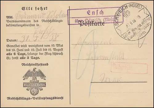 Landpost Ensch über Schweich Mosel auf Dienst Mottenflugmeldekarte, 31.5.38