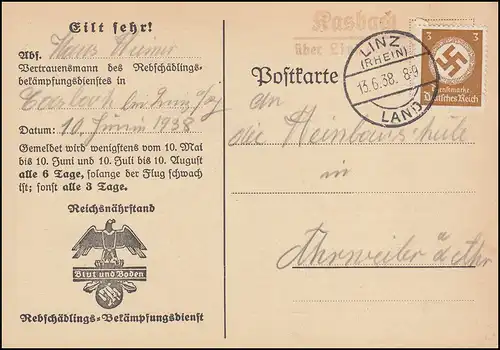 Landpost Rasbach über Linz Rhein auf Dienst Mottenflugmeldekarte, 13.6.38