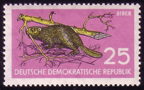 691 Protection de la nature Elbebiber 25 Pf **