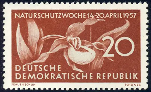 563 Semaine de la conservation 20 Pf Marien-Fräuh