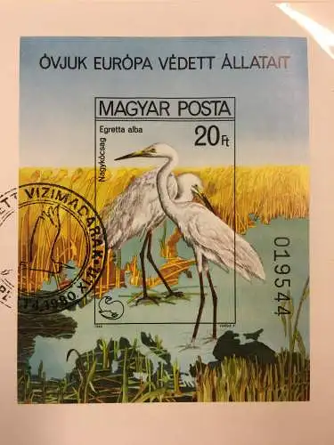 Europäisches Naturschutzjahr 1980 - in zwei Vordruckalben, ** / FDC