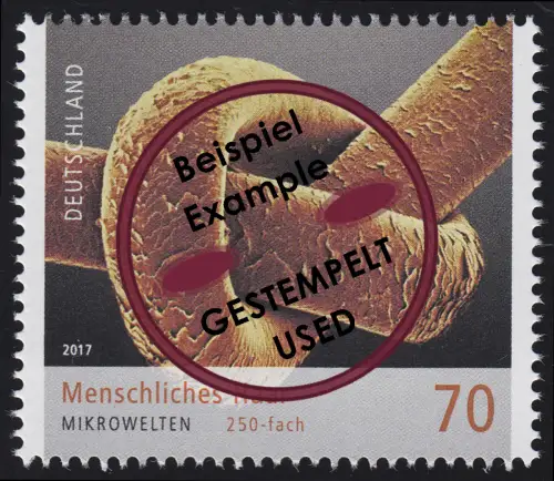 3322 Mikrowelten - Menschliches Haar, O