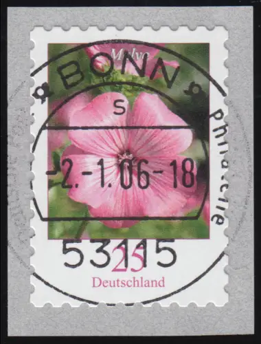 2513 Fleurs 25 C SANS-BOIS ET-O Bonn 2.1.2006