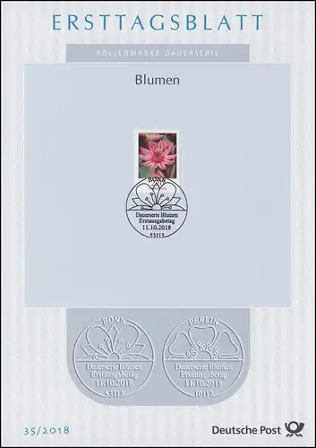 ETB 35/2018 Fleurs, Arrow-root