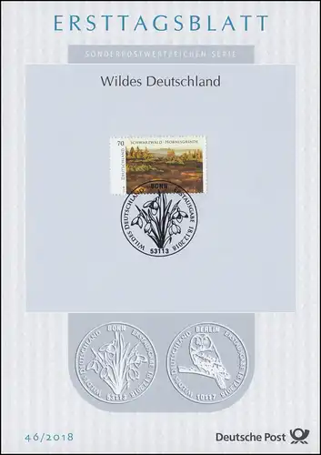 ETB 46/2018 Wildes Deutschland, Schwarzwald