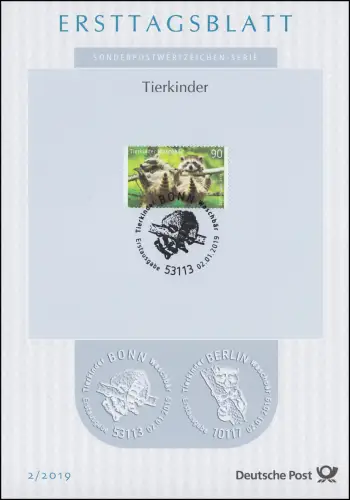 ETB 02/2019 Tierkinder, Waschbär