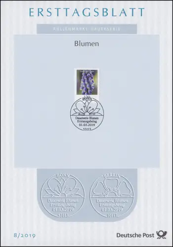 ETB 08/2019 Blumen, Traubenhyazinthe
