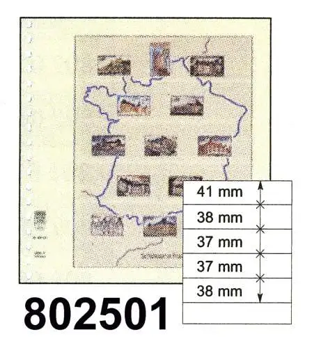 LINDNER-T-Blanko - Einzelblatt 802 501