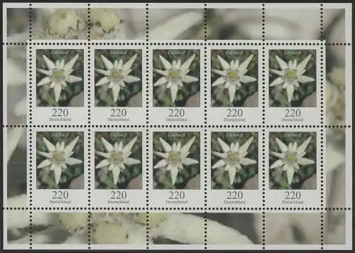 2530 Blumen 220 Cent Edelweiß - Zehnerbogen ** postfrisch