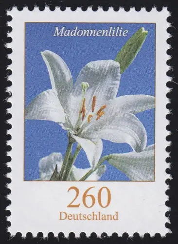 3207 Blume Madonnenlilie 260 Cent, postfrisch **