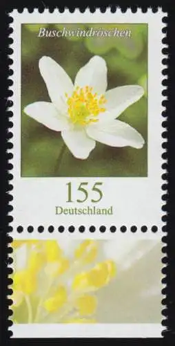 3472 Blume Buschwindröschen 155 Cent, nassklebend, aus Bogen, postfrisch **