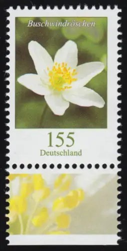 3472 Blume Buschwindröschen 155 Cent, nassklebend, aus Bogen, postfrisch **