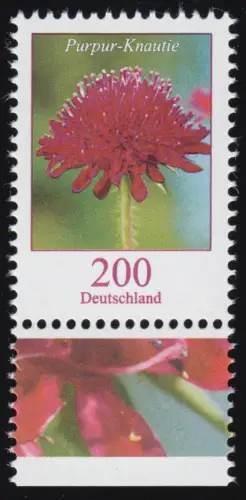 3556 Blume 200 Cent Purpur-Knautie aus Bogen, ** postfrisch