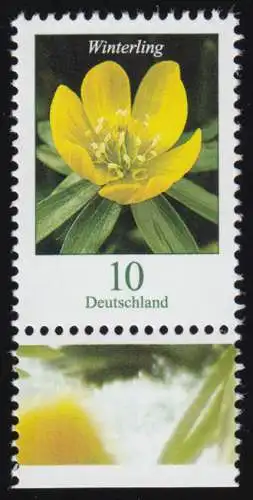 3314 Blume Winterling 10 Cent, nassklebend, aus Bogen, postfrisch **