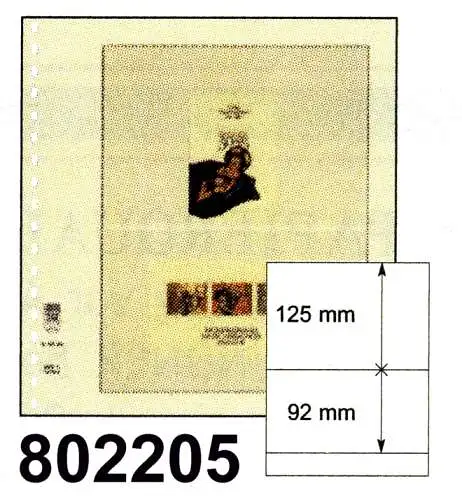 LINDNER-T-Blanko - Einzelblatt 802 205