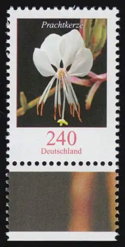 2969 Blumen 240 Cent Prachtkerze aus Bogen, postfrisch **