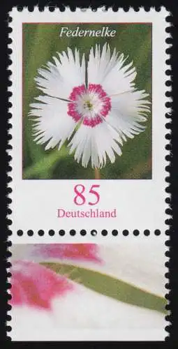 3116 Blume Federnelke 85 Cent aus Bogen, postfrisch **