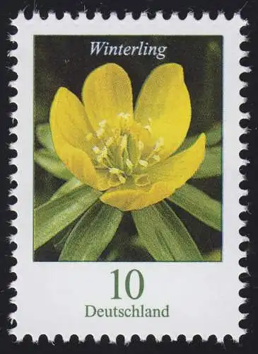 3314 Blume Winterling 10 Cent, nassklebend, postfrisch **