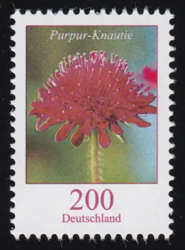 3556 Blume 200 Cent Purpur-Knautie, ** postfrisch