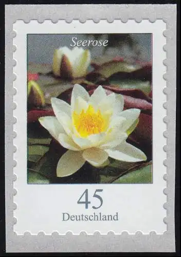 3376 Blume Seerose 45 Cent, selbstklebend, ** postfrisch