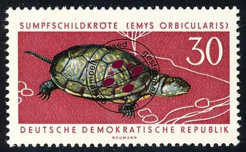 980 Geschützte Tiere Sumpfschildkröte 30 Pf, gestempelt O