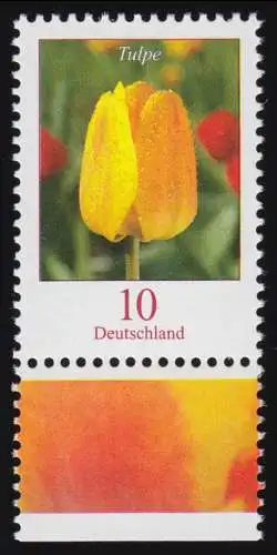 2484 Blumen 10 C Tulpe aus Bogen, postfrisch **