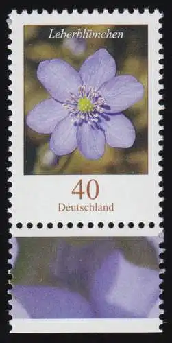 2485 Blumen 40 C Leberblümchen aus Bogen, postfrisch **