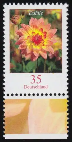 2505 Blumen 35 C Dahlie aus Bogen, postfrisch **