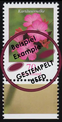 2529 Blumen 70 C Kartäusernelke aus Bogen, gestempelt O