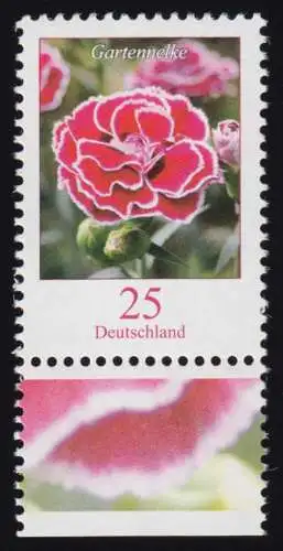 2694 Blume 25 C Gartennelke NASSKLEBEND aus Bogen, postfrisch **