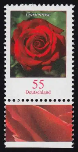 2669 Blume 55 C Gartenrose NASSKLEBEND aus Bogen, postfrisch **