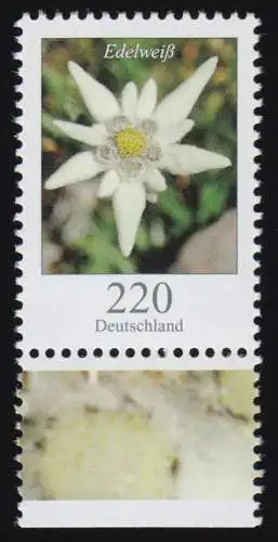 2530 Blumen 220 C Edelweiß aus Bogen, postfrisch **