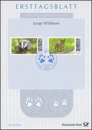 ETB 19/2022 Junge Wildtiere, Dachs und Luchs