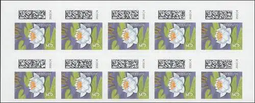 FB 113IV Seebriefrose 5 Cent, keine Rasterung/45/45 Grad (GDL), **