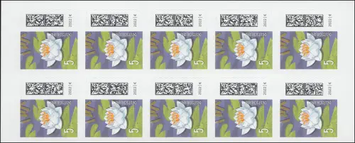 FB 113IV Seebriefrose 5 Cent, keine Rasterung/45/45 Grad (GDL), **