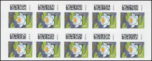 FB 113IIa Seebriefrose 5 Cent, Rasterung 75/15 Grad (Bagel BSP), **