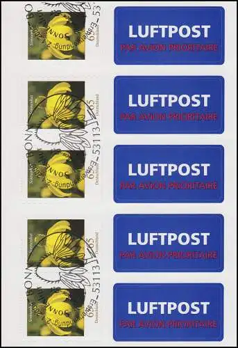 FB 2 Sonnenhut 2009, Folienblatt 5x2715, mit Luftpost-Aufkleber, EV-O Bonn