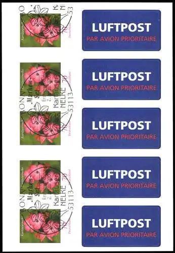 FB 3 Kartäusernelke 2009, Folienblatt 5x2716, mit Luftpost-Aufkleber, EV-O Bonn