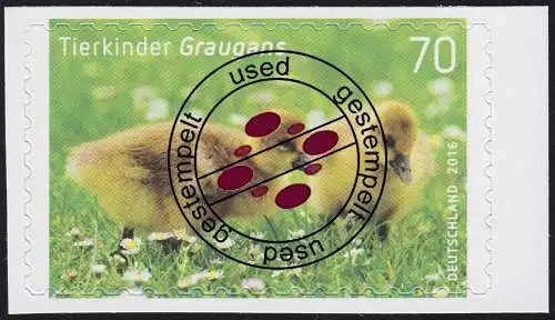 3222 Tierkinder: Graugans, selbstklebend aus Folienblatt 55, Bedarfs-O