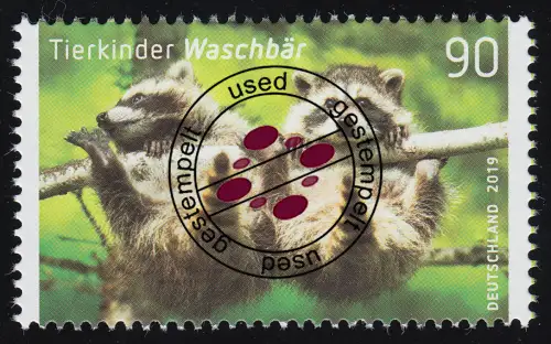 3434 Tierkinder: Der Waschbär, O